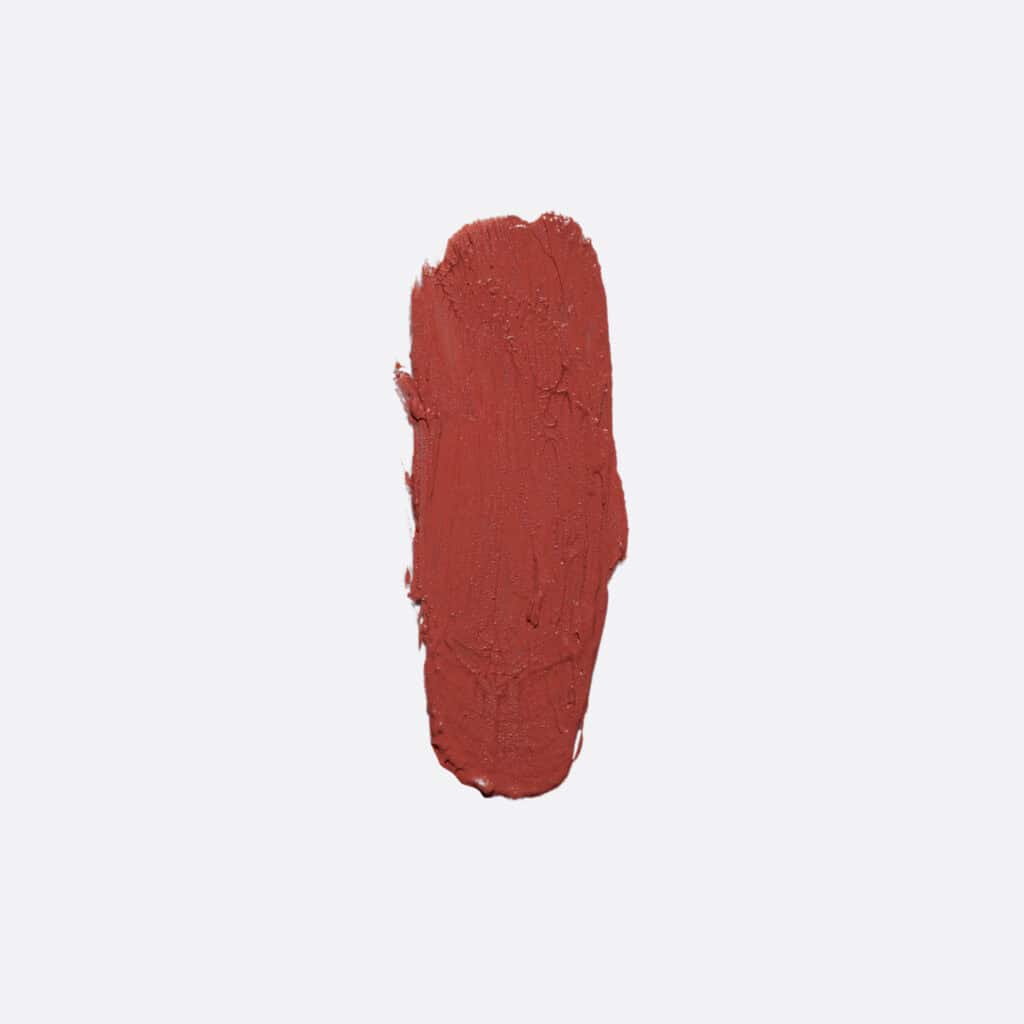 Elixir Blush Harmony Stick Blusher  #504
